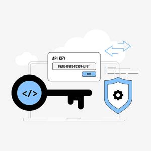 API Integration Planning
